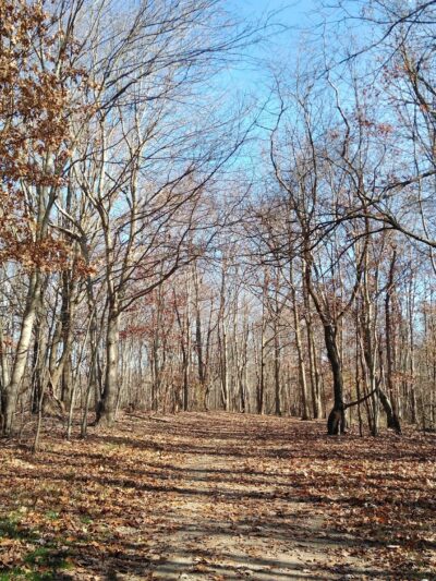 Sewickley Heights Borough Park - Sewickley, PA