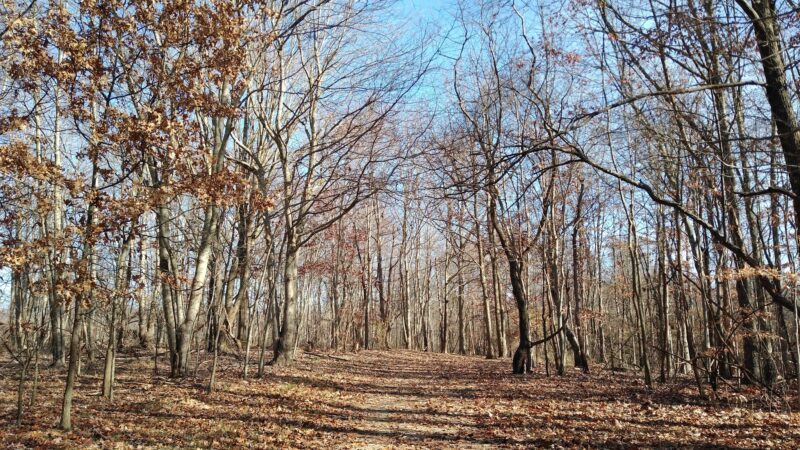 Sewickley Heights Borough Park - Sewickley, PA