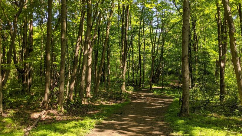 Sewickley Heights Borough Park - Sewickley, PA