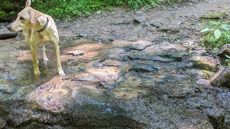 Sewickley Heights Borough Park - Sewickley, PA