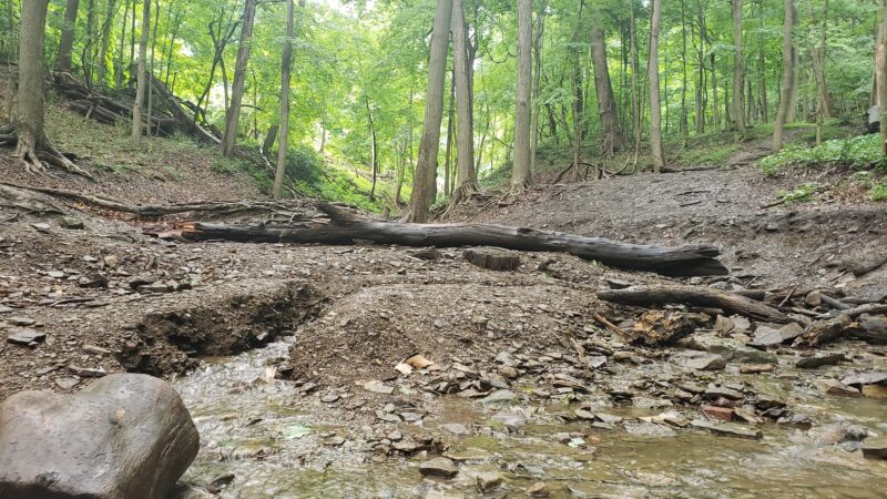 Sewickley Valley War Memorial Park - Sewickley, PA