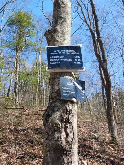 Appalachian Trail - Low Gap - Shady Valley, TN
