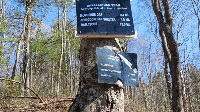 Appalachian Trail - Low Gap - Shady Valley, TN