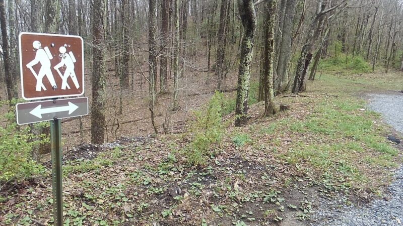 Appalachian Trail - Low Gap - Shady Valley, TN