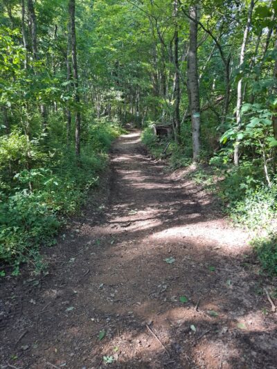 Appalachian Trail - Low Gap - Shady Valley, TN