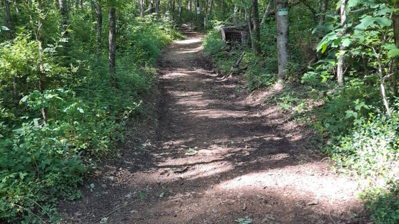 Appalachian Trail - Low Gap - Shady Valley, TN