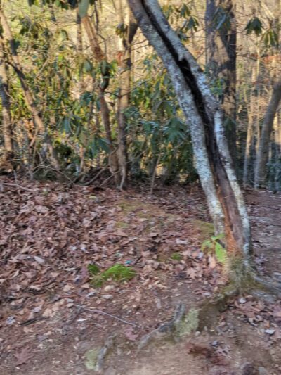Backbone Rock - Shady Valley, TN