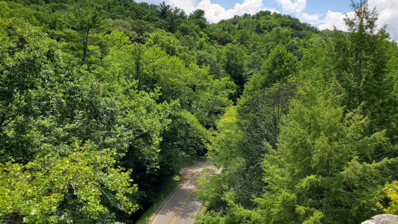 Backbone Rock - Shady Valley, TN