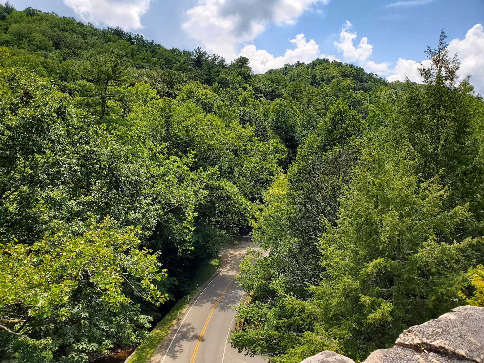 Backbone Rock - Shady Valley, TN