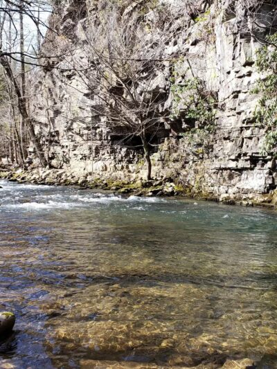 Backbone Rock - Shady Valley, TN