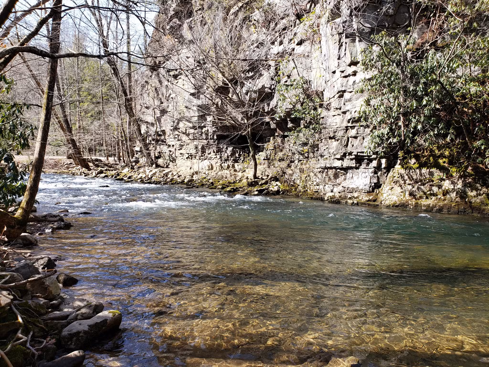 Backbone Rock - Shady Valley, TN