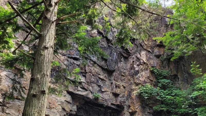 Backbone Rock - Shady Valley, TN