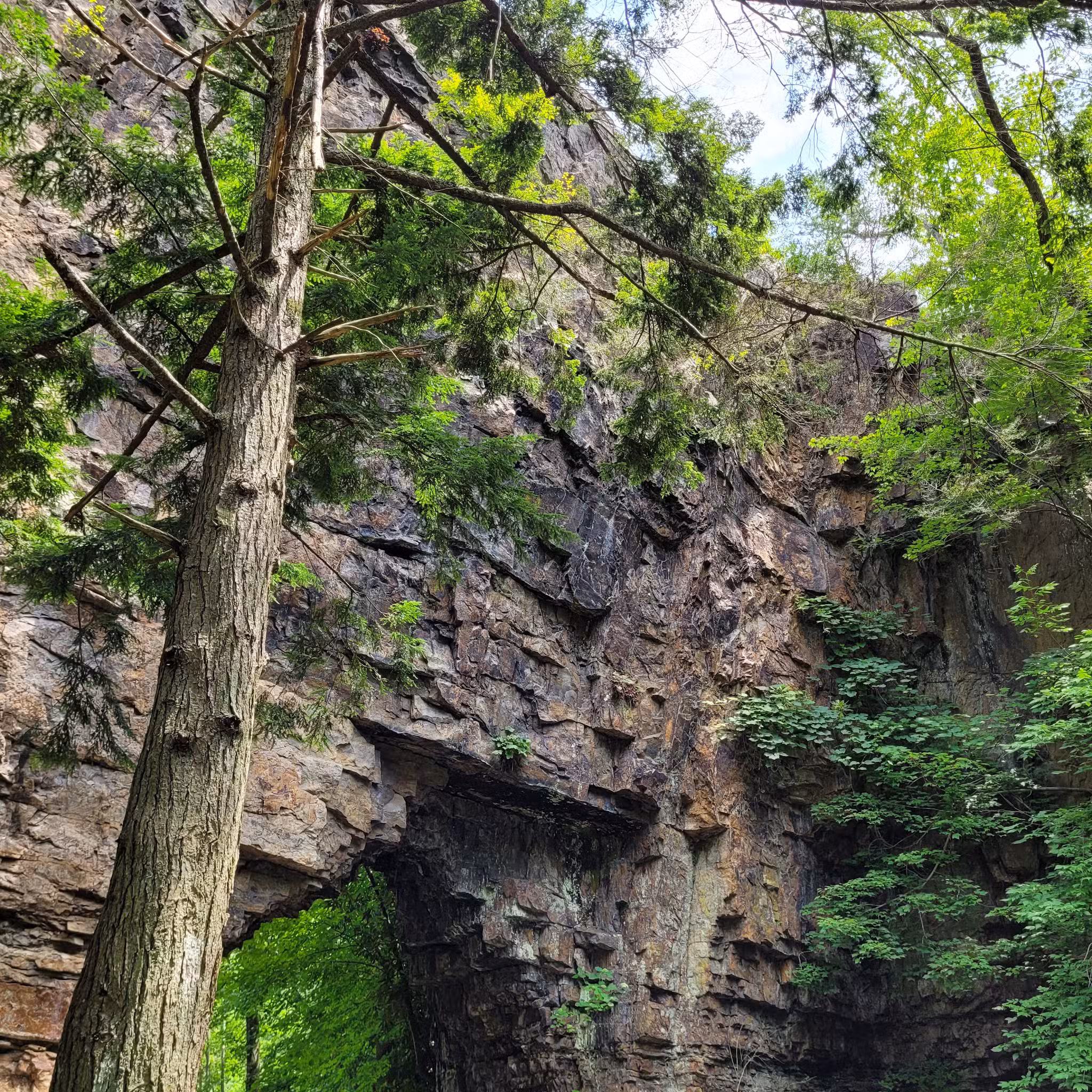 Backbone Rock - Shady Valley, TN