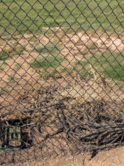 Shallowater Dog Park - Shallowater, TX