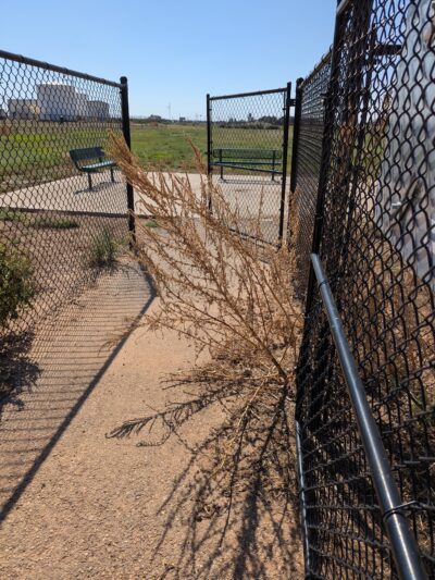 Shallowater Dog Park - Shallowater, TX