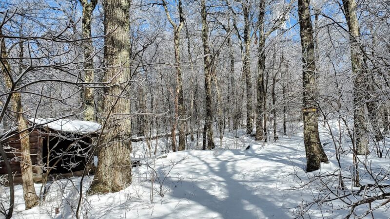 Tremper Mountain Trail - Shandaken, NY