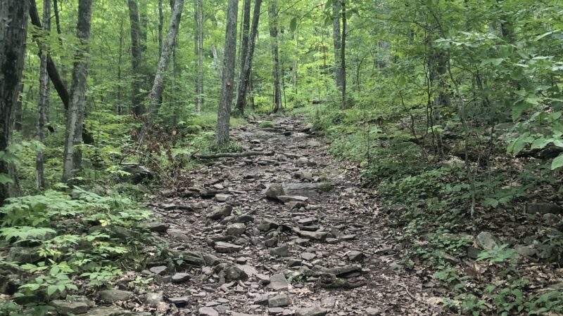 Tremper Mountain Trail - Shandaken, NY