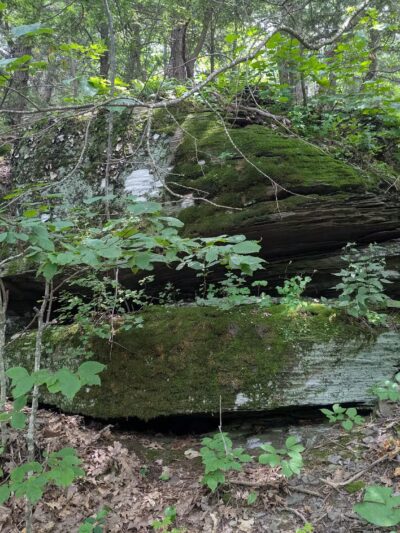Tremper Mountain Trail - Shandaken, NY