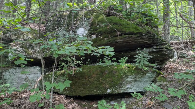Tremper Mountain Trail - Shandaken, NY