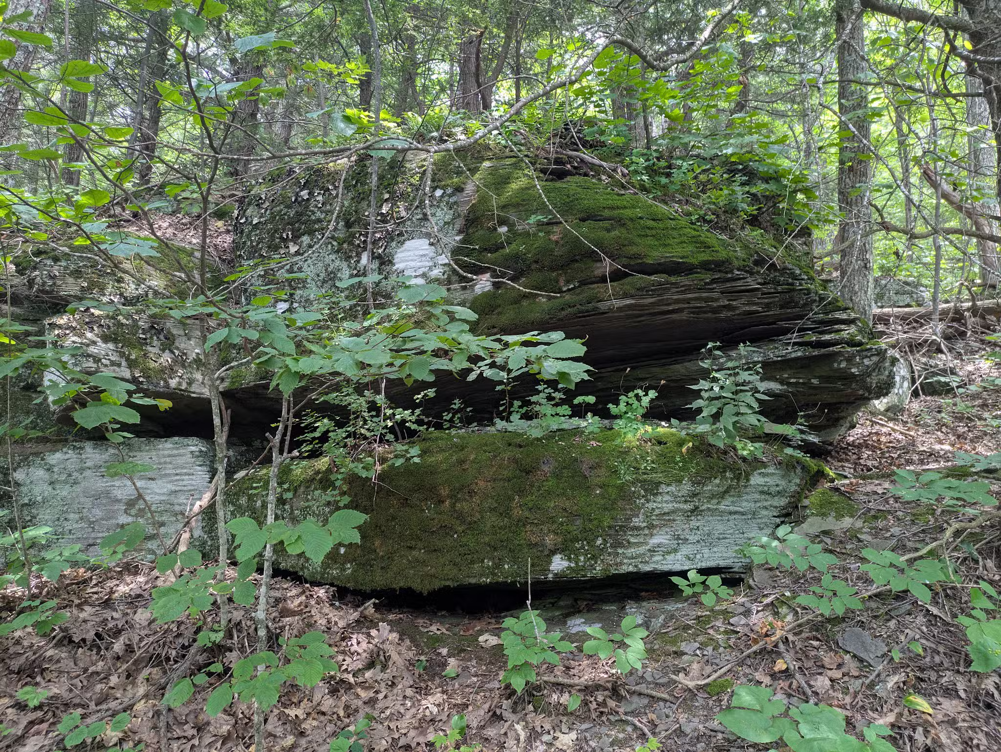 Tremper Mountain Trail - Shandaken, NY