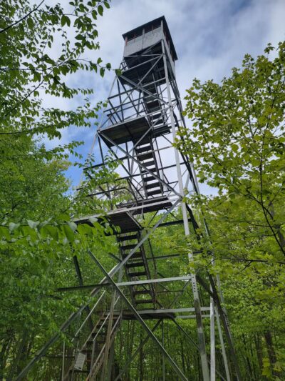 Tremper Mountain Trail - Shandaken, NY