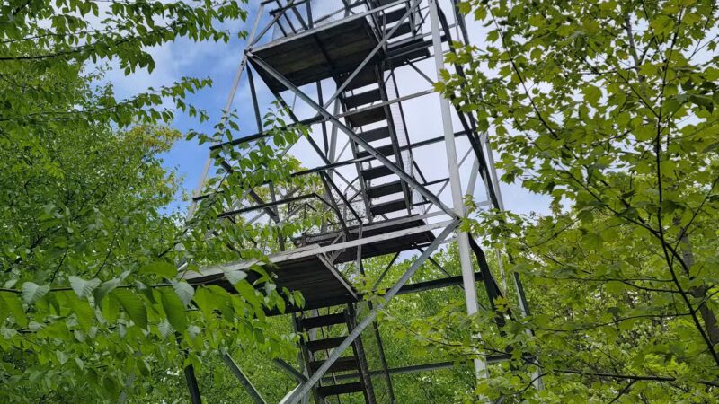 Tremper Mountain Trail - Shandaken, NY