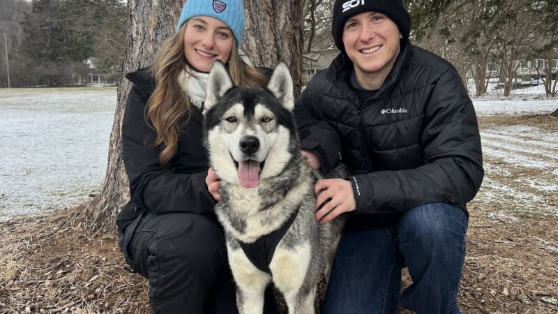 Arctic Paws Dog Sled Tours - Shawnee on Delaware, PA