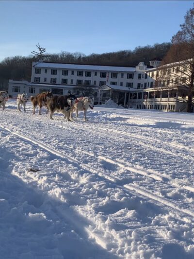 Arctic Paws Dog Sled Tours - Shawnee on Delaware, PA