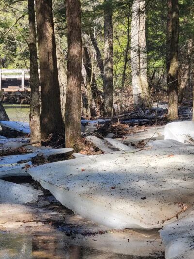 North country Trail trailhead Cherry Run - Sheffield, PA