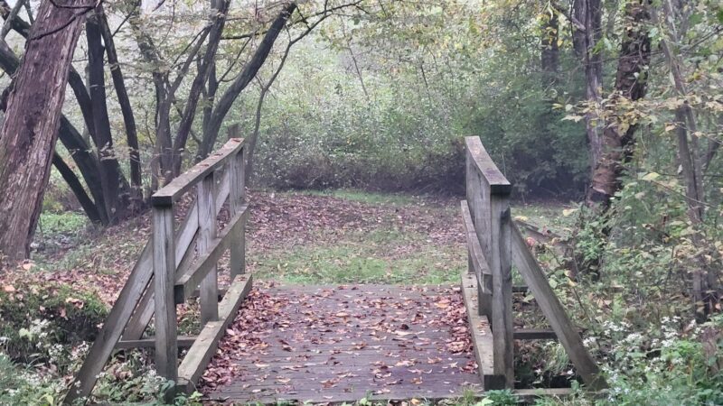 Sheffield Baseball Field - 60’ - Sheffield, PA