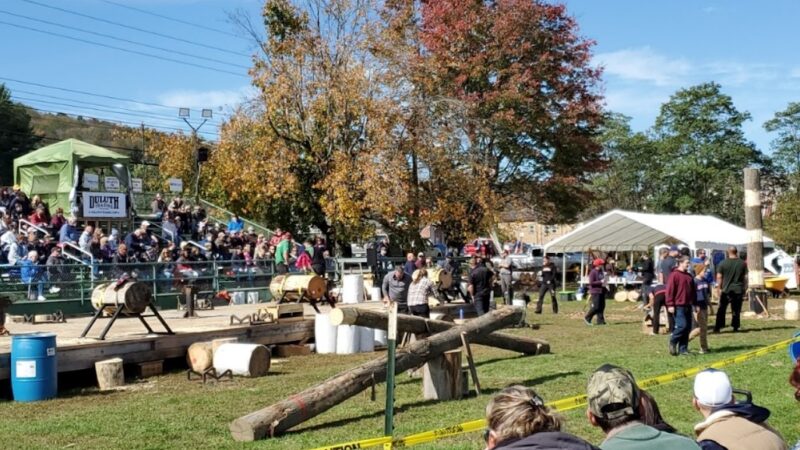 Sheffield Playground / memorial field - Sheffield, PA