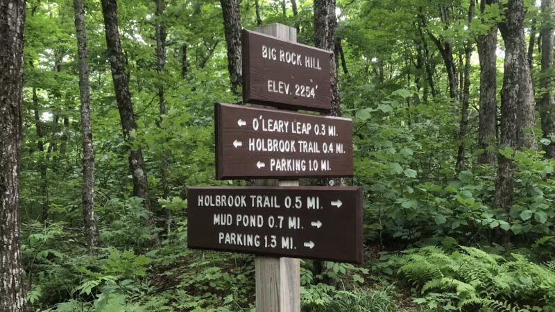 Holbrook State Park - Sheffield, VT