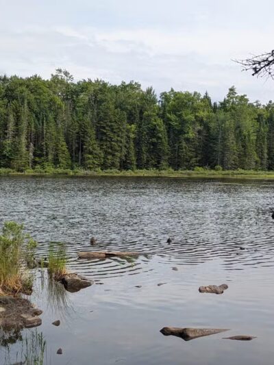 Holbrook State Park - Sheffield, VT