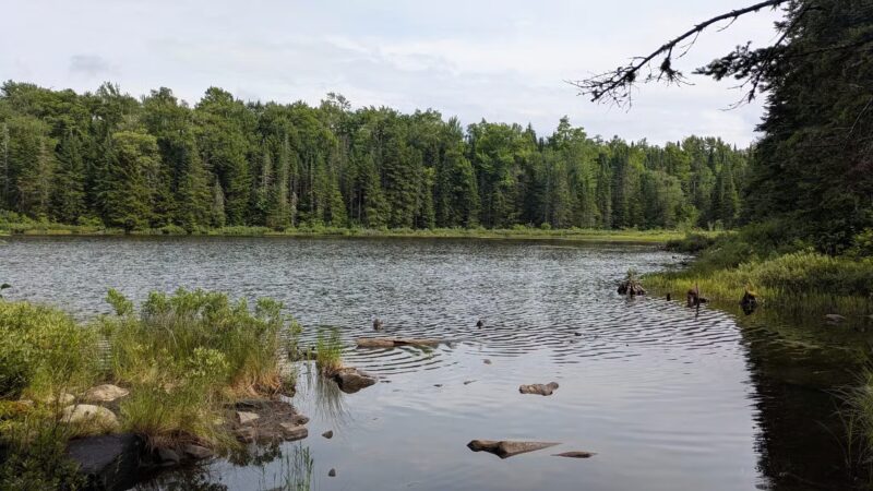 Holbrook State Park - Sheffield, VT