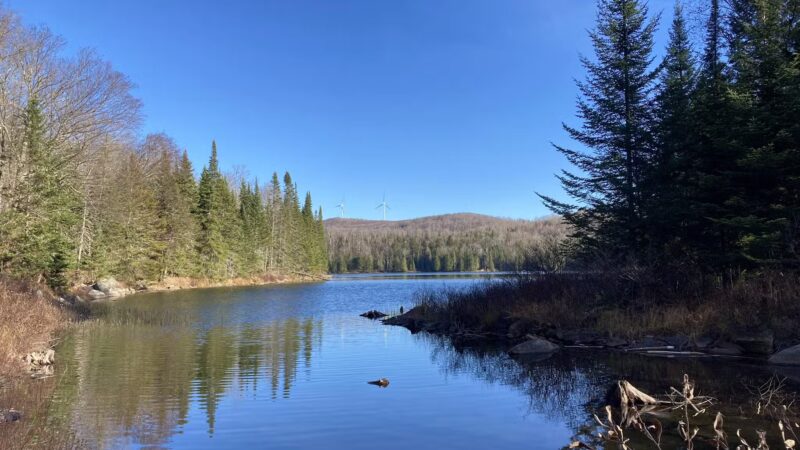 Holbrook State Park - Sheffield, VT