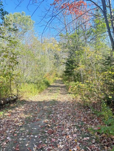 Holbrook State Park - Sheffield, VT