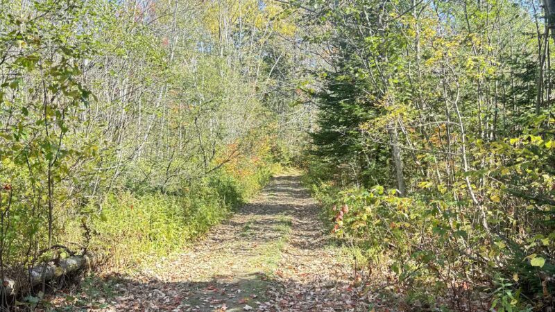 Holbrook State Park - Sheffield, VT