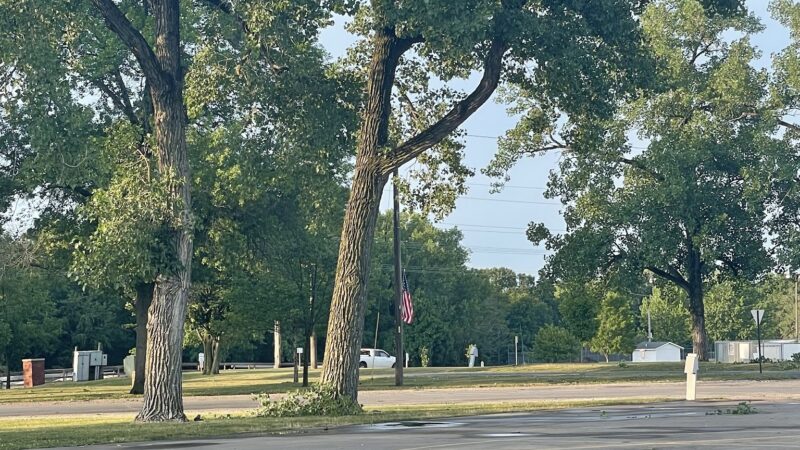 Forest Park - Shelbyville, IL