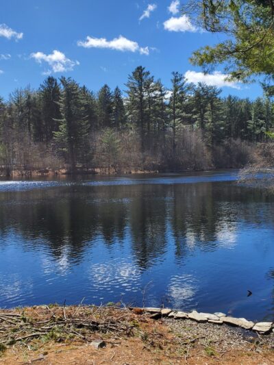 Pine Lake Trailhead, Shelton, CT - Shelton, CT