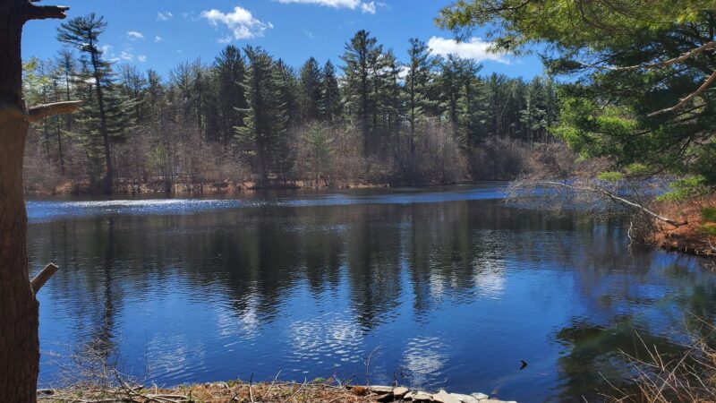 Pine Lake Trailhead, Shelton, CT - Shelton, CT