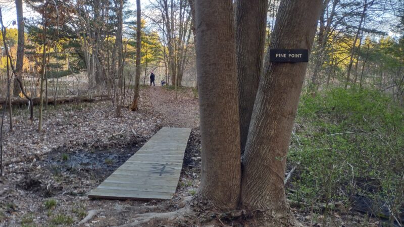 Pine Lake Trailhead, Shelton, CT - Shelton, CT