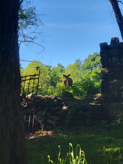 Shenandoah Heights Park - Shenandoah, PA