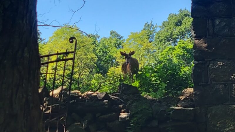 Shenandoah Heights Park - Shenandoah, PA