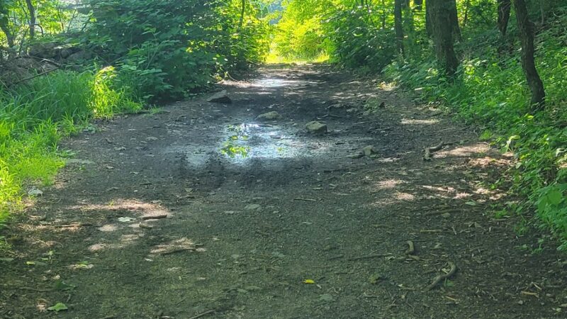 Shenandoah Heights Park - Shenandoah, PA
