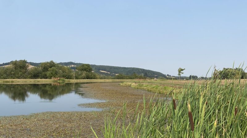 Southside Park - Sheridan, OR