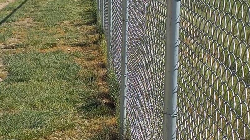 W. 16th Street Dog Park - Sheridan, WY