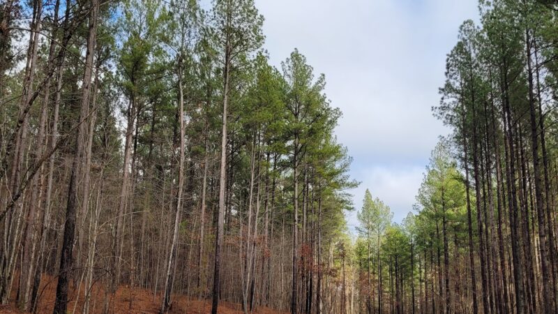 Mountain Creek Park - Sherrills Ford, NC