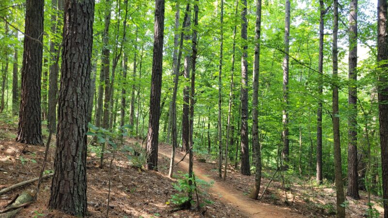 Mountain Creek Park - Sherrills Ford, NC