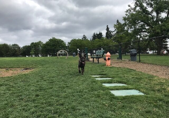 Sherwood Dog Park - Sherwood, OR