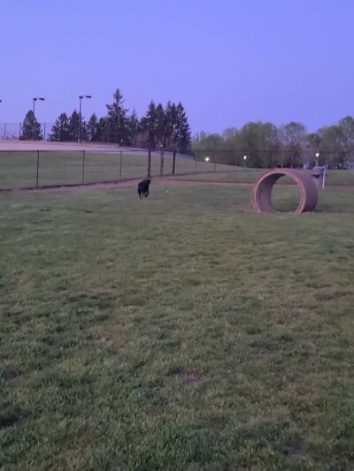 Sherwood Dog Park - Sherwood, OR